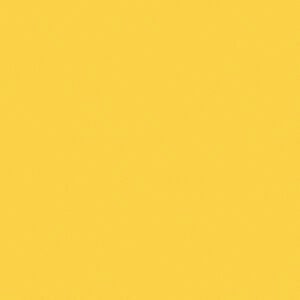 Golden Wattle Natural