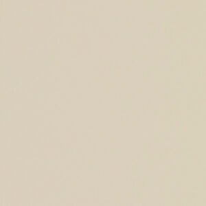 Mist Grey Gloss